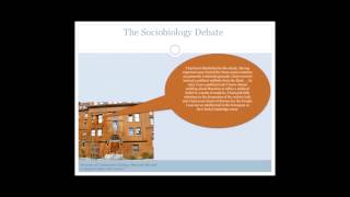 Sociobiology  A Theory of Everything [upl. by Lyons]