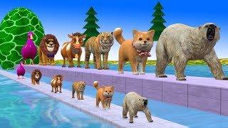 Paint Animals CowTigerBearLionDog Fountain Crossing Transformation Cartoon [upl. by Sculley]