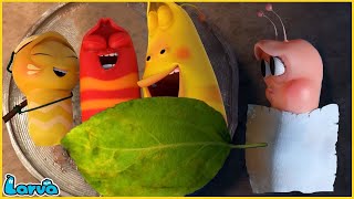 LARVA SEASON 3 EPISODE 416  520 🍟 NEST VERSION LARVA  MINI SERIES FROM ANIMATION LARVA [upl. by Soalokin836]