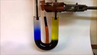 Migration of ions in Copper II Chromate VI Time Lapse 330pm to 1010 am [upl. by Einuj]