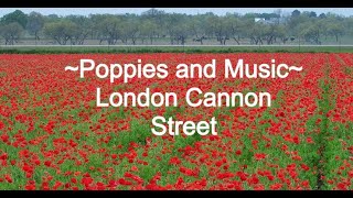 Poppies and Music Honoring Remembrance Day  London Cannon Street [upl. by Richara363]