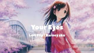 Your Eyes Barney sku Slowed and Reverbed  Lofi Flip [upl. by Alenoel118]