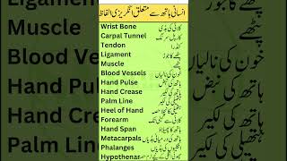 Hand Anatomy Vocabulary in English with Urdu Meanings  Smart Study Zone  Part 3 [upl. by Peih]