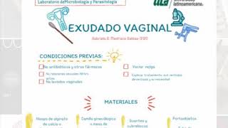 Exudado Vaginal [upl. by Xonnel]