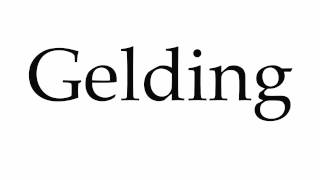 How to Pronounce Gelding [upl. by Alper679]