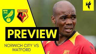 Norwich City VS Watford  Match Preview [upl. by Sinnelg]