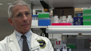 Anthony Fauci Explains Alpha4 Beta7 and HIV [upl. by Anirec975]