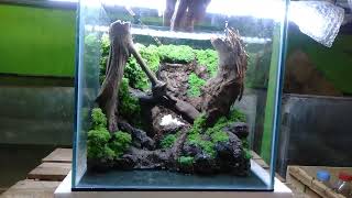 aquascape waterfall nano tank 30cmset up aquascape sebelum dikirim [upl. by Johathan]