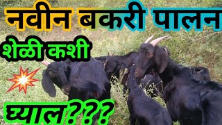 बंदीस्त बकरी पालन 🐐 शेळी कशी निवडावी बकरी खरेदी goat market goat purchase arvee goat farm [upl. by Arman]