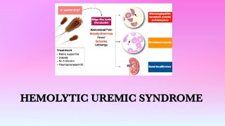 Hemolytic Uremic Syndrome [upl. by Maillij390]