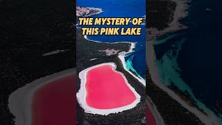 The Mystery of Lake Hilliers Pink Waters in Australia shorts facts Australia viral [upl. by Carce]