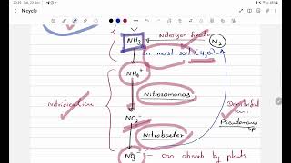 Nitrogen cycle Short summary [upl. by Estren490]