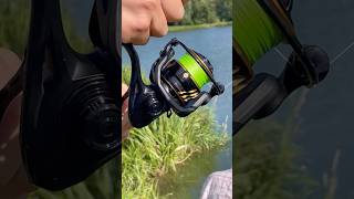 Carp fishing fishing fishingvideo рибалка angler fishinglife shorts youtube viralvideo [upl. by Arec317]