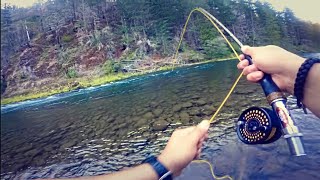 Fly fishing trout MtHood Oregon [upl. by Albemarle191]