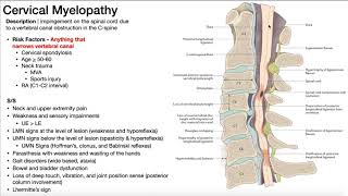 Cervical Myelopathy  Presentation Risk Factors amp SignsSymptoms [upl. by Berkley]