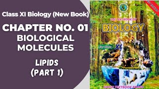 Ch 1 Biological molecules  Lipids  Class 11 biology new book  Sindh board [upl. by Mihsah]