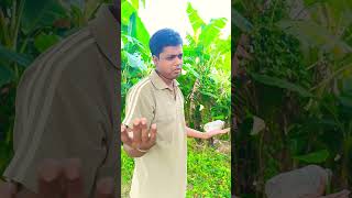 Ghar chori na ho islieyfunnycomedyfunshortsyoutubesimanil20787 [upl. by Crispen]