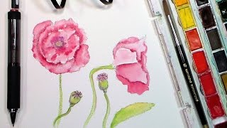 Pen amp Ink Poppy with Watercolor Wash PLUS ReviewFirst Impression of Cuttlelola DotsPen [upl. by Phillipp]