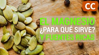 El Magnesio Beneficios y Fuentes Ricas  Ciencia de la Comida [upl. by Onig]