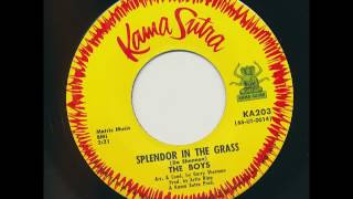 THE BOYS Splendor in the Grass JACKIE DeSHANNON [upl. by Roselyn]