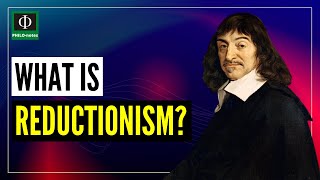 What is Reductionism [upl. by Kassie60]