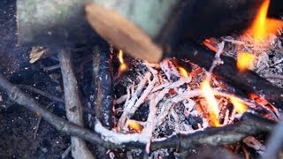 How to Put Out a Campfire Safely  Camping [upl. by Forest100]