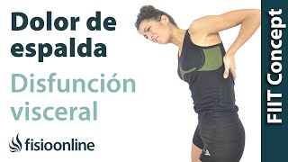 Disfunción visceral y dolor de espalda ¿Qué se puede hacer [upl. by Ibot]