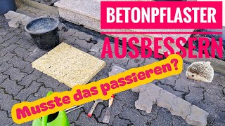 Betonpflaster ausbessern leicht gemacht [upl. by Azaria]