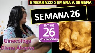 SEMANA 26 EMBARAZO SEMANA A SEMANA POR GINECOLOGA DIANA ALVAREZ [upl. by Ilrebmyk]