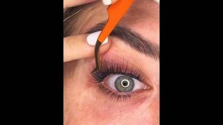 How To Apply DIY False Eyelash Extensions For Beginners Let’s do this [upl. by Aelam]