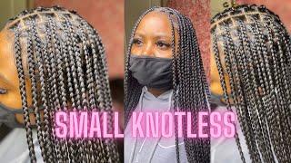 Small knotless box braids tutorial  watch me show you [upl. by Farl829]