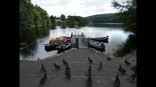 Loch Faskally and Pitlochry fish ladder walk Perthshire Scotland UK [upl. by Ferde]