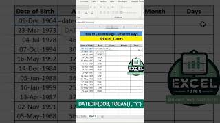 Age Calculator in Excel shorts excel [upl. by Pegeen]