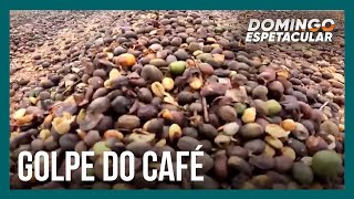 Produtores de café levam calote milionário após entregarem safra para empresa [upl. by Darleen]