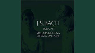 Sonata in B minor BWV 1014 for violin and harpsichord Andante [upl. by Reidar52]