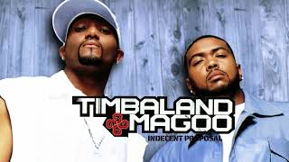 Timbaland amp Magoo  Party People feat JAYZ amp Twista Visualizer [upl. by Capps]