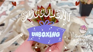 vlog 134  103024 Succulent Unboxing Day [upl. by Illib]