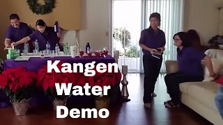 Kangen Water Demo  Alkaline pH 85 to 95 for Drinking [upl. by Smeaj]