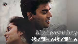 Snehithane SnehithaneAlaipayutheytamilsongs alaipayuthey madhavan shalini [upl. by Vetter]