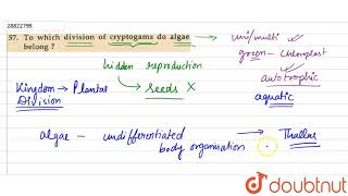 To which division of cryptogams do algae belong [upl. by Feld359]