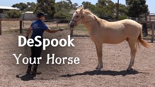 Groundwork For Horses  Desensitizing A Yearling Horse [upl. by Trebled]