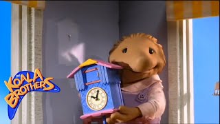 The Koala Brothers Sammys Cuckoo Clock Childrens animation series [upl. by Londoner]