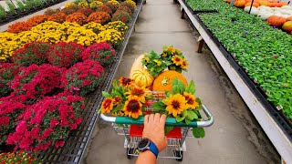 Amish Greenhouse Deals  Fall Edition  Part 1 [upl. by Whitebook160]