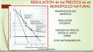 Microeconomía Básica U6 p2 [upl. by Manville858]