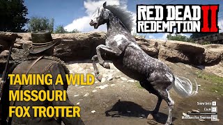 RDR2 Taming wild Missouri Fox Trotter Rampage Mods [upl. by Lahcim]