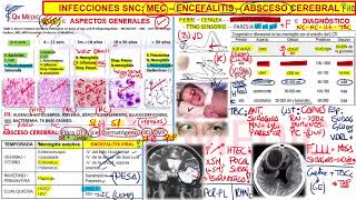 6 RM19 2V DÍA 1 NEUROLOGÍA INFECCIONES TRATAMIENTO [upl. by Annadal]