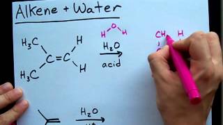 Alkene and Water Reaction  Alcohol [upl. by Aiahc301]