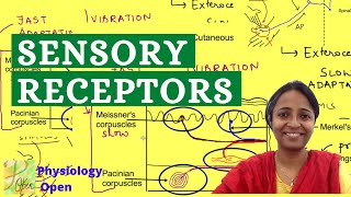 Classification of Sensory receptors  Sensory Physiology mbbs 1st year lecture  CNS physiology [upl. by Heall]