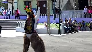 Danza tipica en la mitad del mundo quotEl Diablo Humaquot [upl. by Suoinuj]