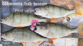 Quick Redfin bait session at Green Lake  Horsham [upl. by Oranneg]